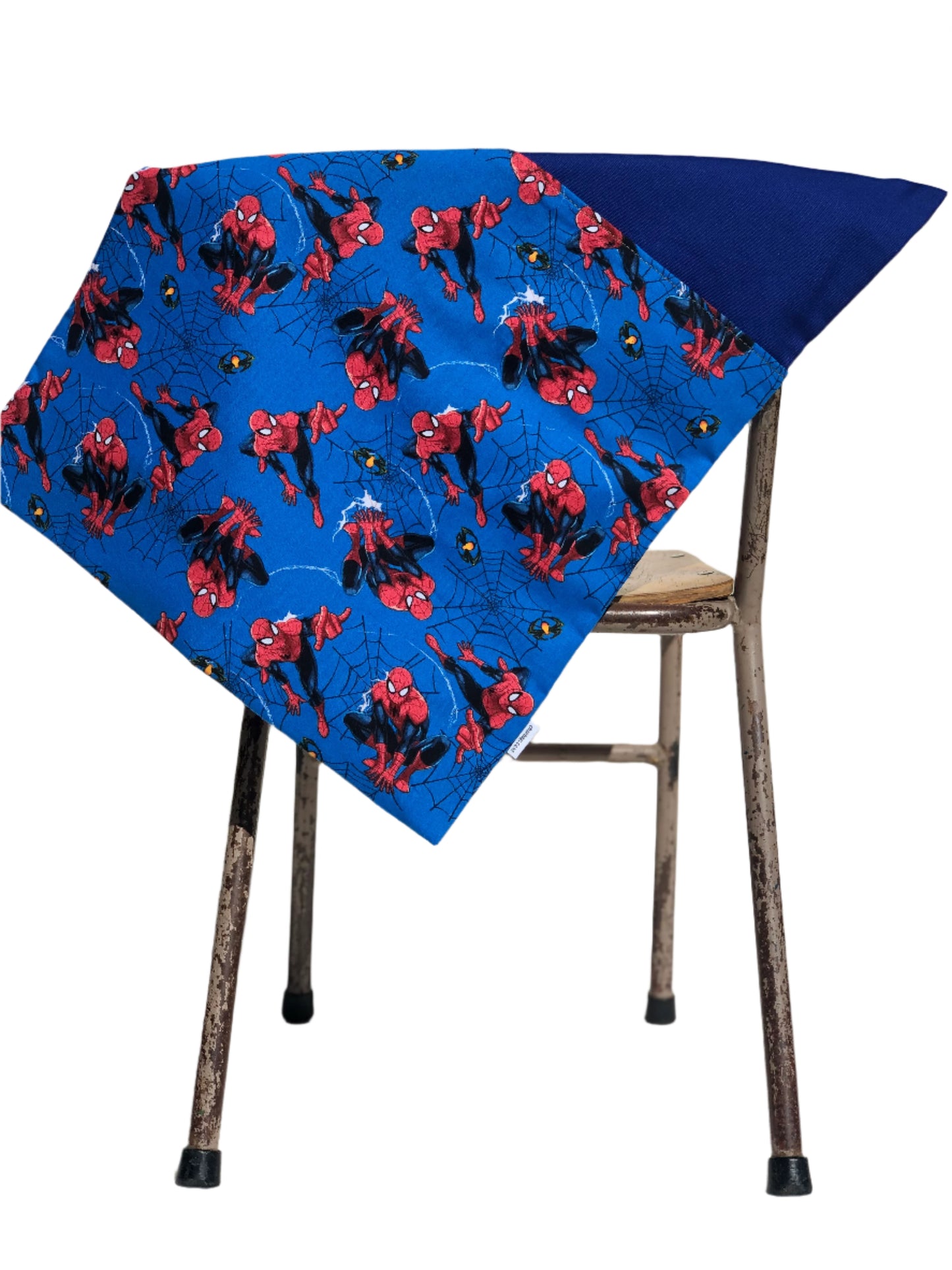 Spider Man Blue